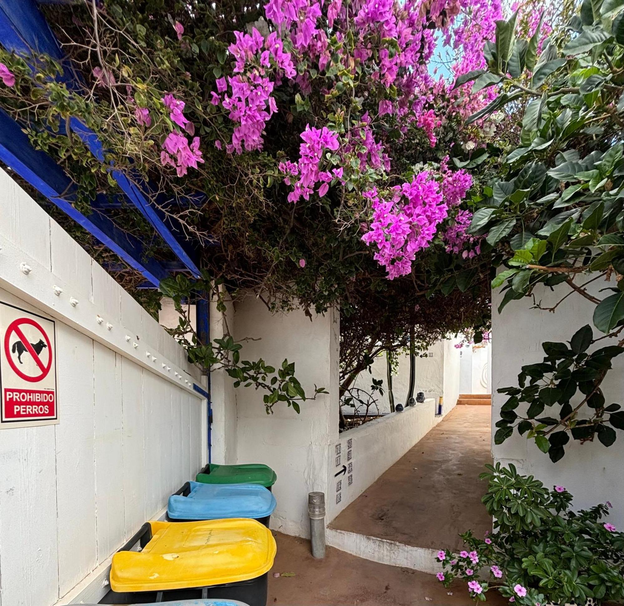 Apartamentos Y Habitaciones Villa Marina La Caleta  Buitenkant foto
