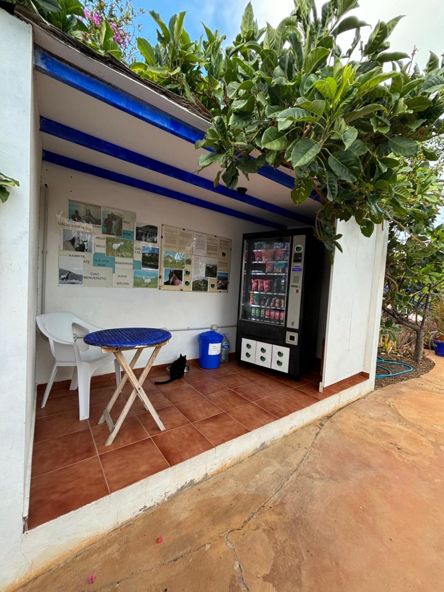 Apartamentos Y Habitaciones Villa Marina La Caleta  Buitenkant foto